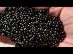 Ligne de production d'engrais organiques