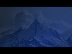 Les solutions de compostage des engrais organiques naturels: compost de type rainure Turner, Windrow Turner & Ferme