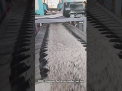 Ligne de production d'engrais composés granulés à double rouleau