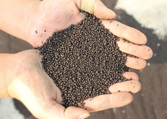 Granulateur d'engrais organiques de type humide pour poudre de compost organique de 1 à 10 tonnes/h