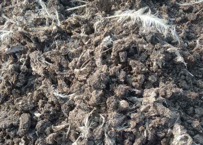 Machine à compostage de fermentation de fumier organique de type chenille pour décomposition aérobie en tas au sol