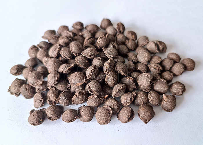 Ligne de fabrication d'engrais composés granulés de taille 2-10 mm avec granulateur à double rouleau extrudeur