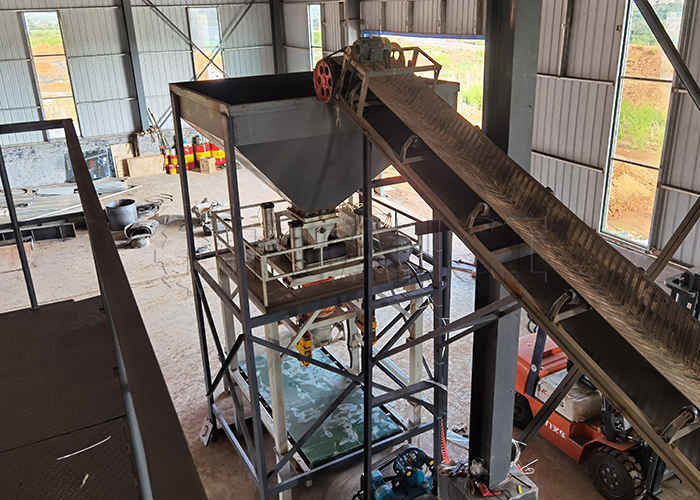 Ligne de fabrication d'engrais composés granulés de taille 2-10 mm avec granulateur à double rouleau extrudeur