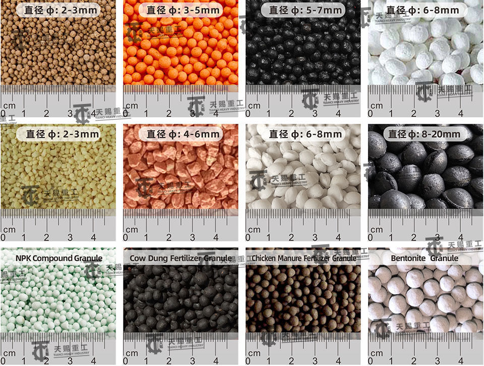 granulateur de presse à rouleaux d'acide humique pour équipement de ligne de production d'engrais à base d'acide humique granulaire